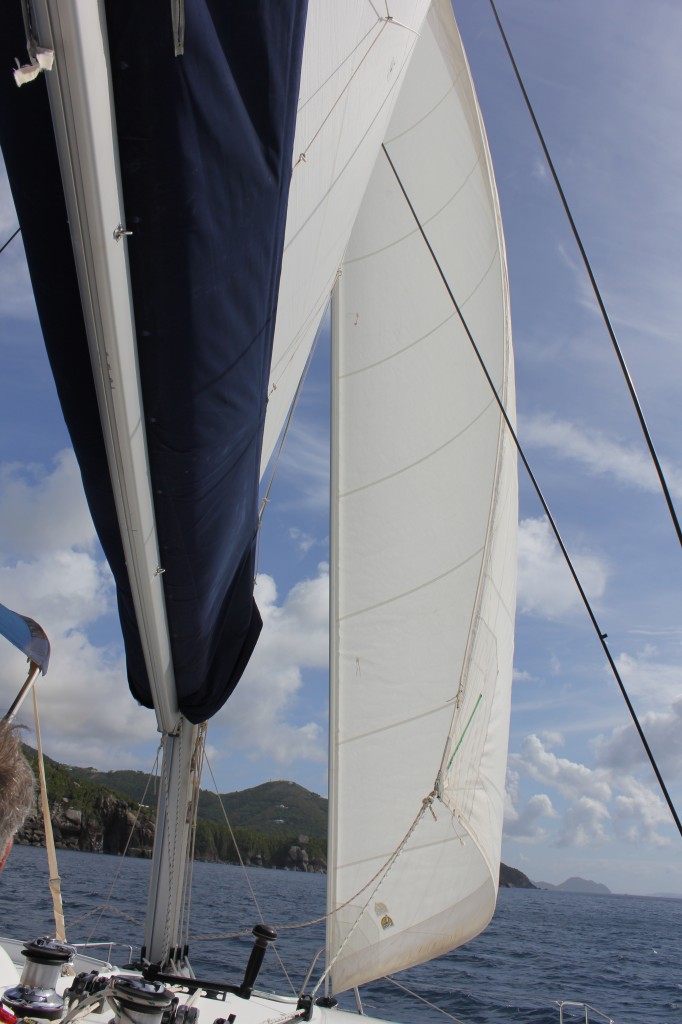 Allison's Jib while Sailing